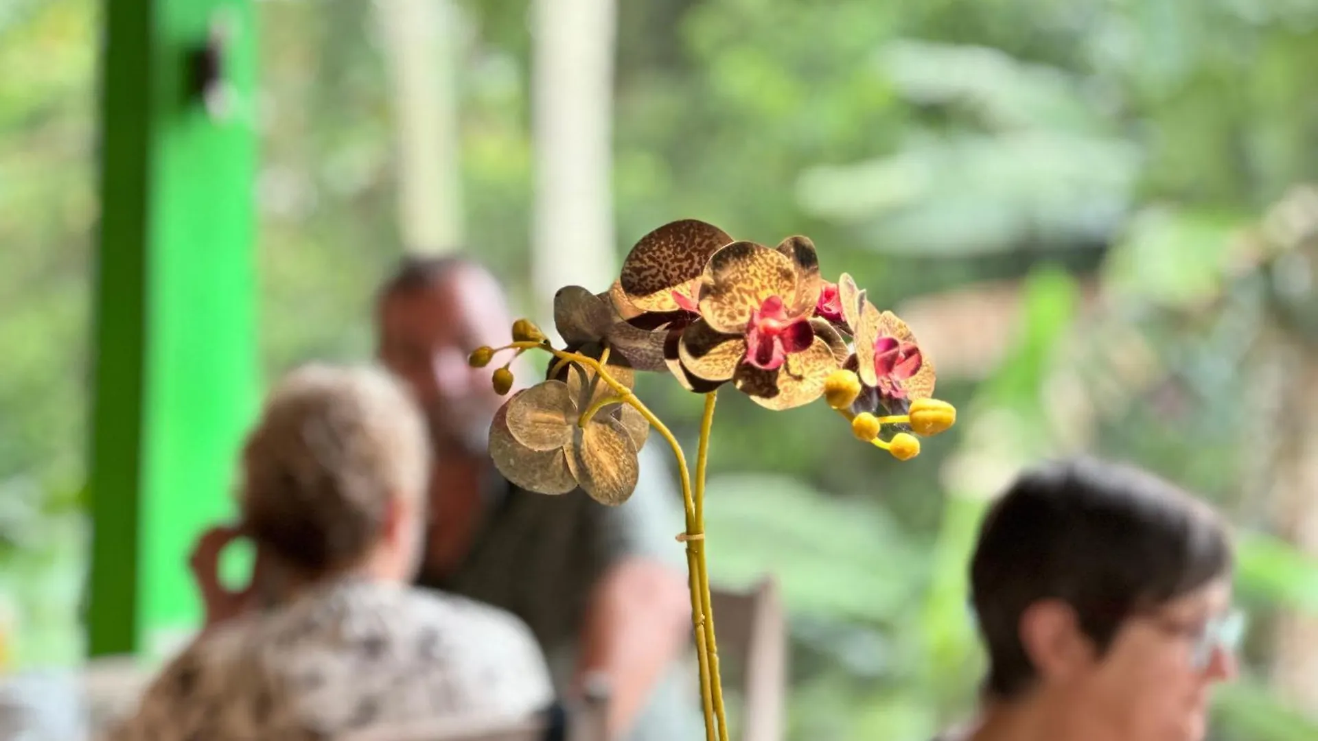 Dupa Ubud Vakantiepark