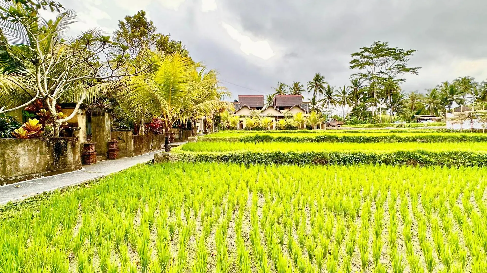 Dupa Ubud